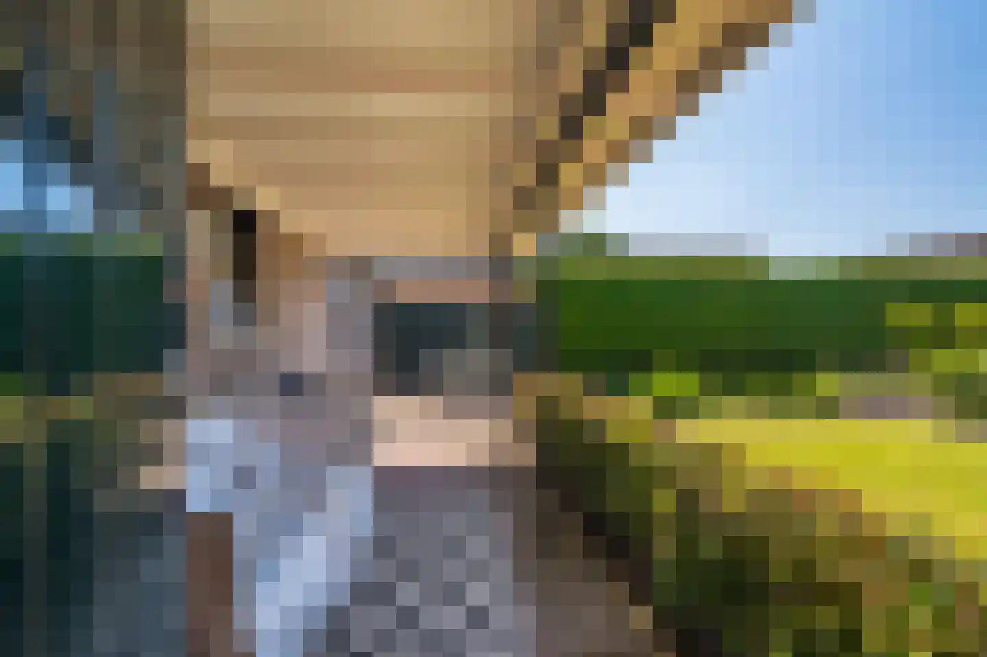 Kolfbaan 3 Schildwolde thumbnail 36