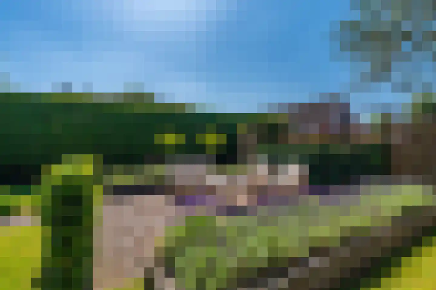 Kolfbaan 3 Schildwolde thumbnail 44