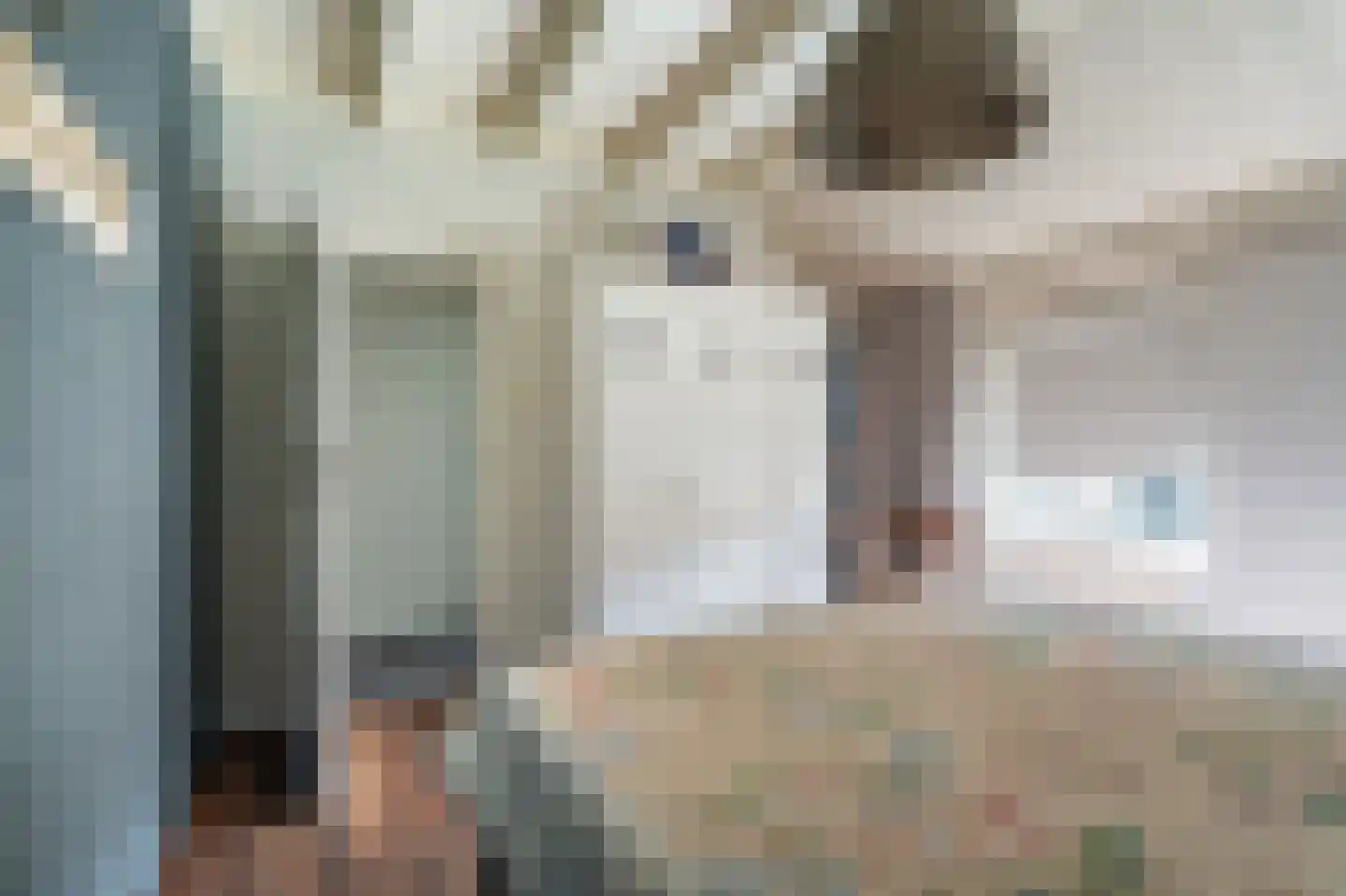 Kolfbaan 3 Schildwolde thumbnail 53