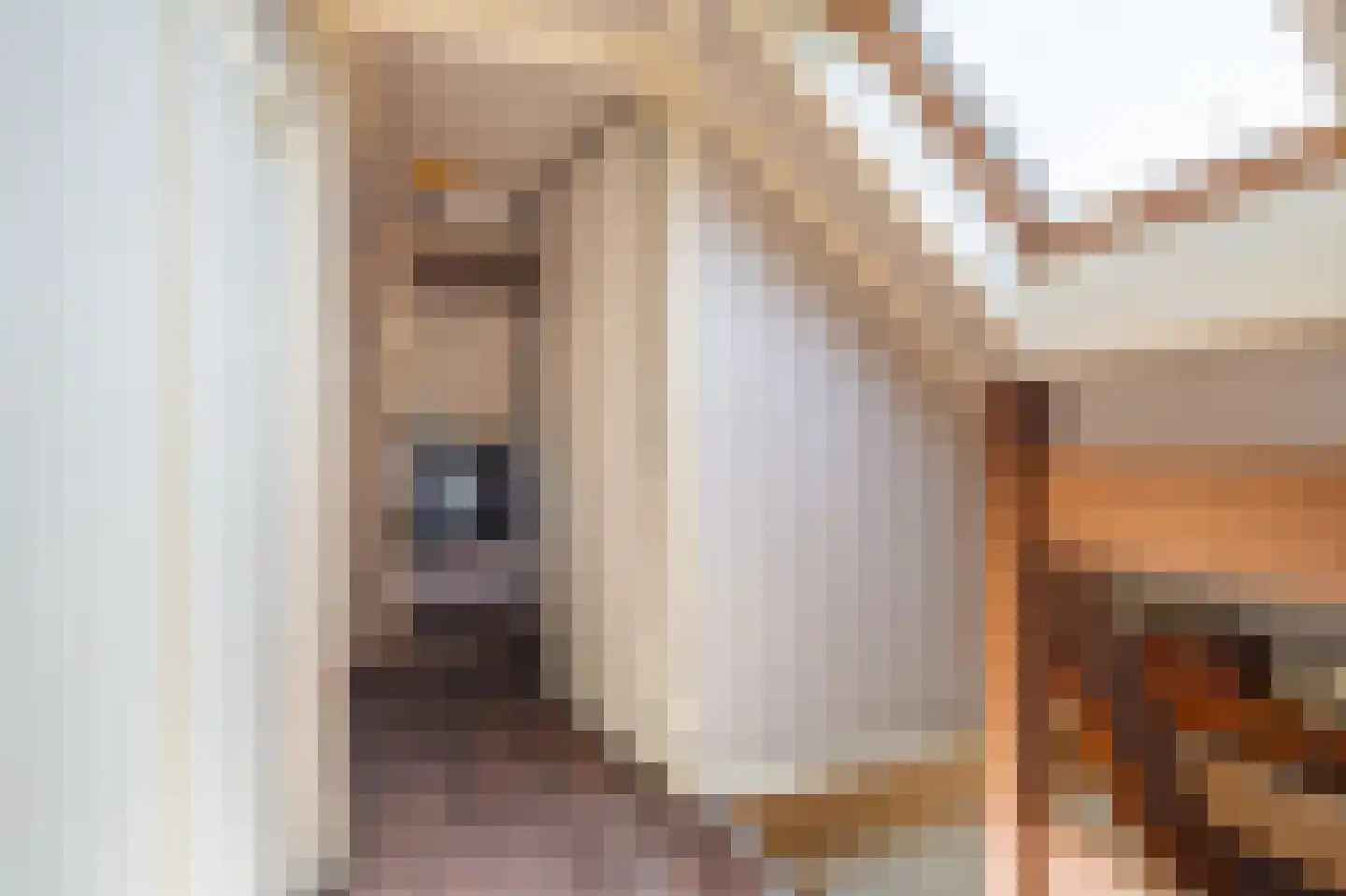 Kolfbaan 3 Schildwolde thumbnail 57