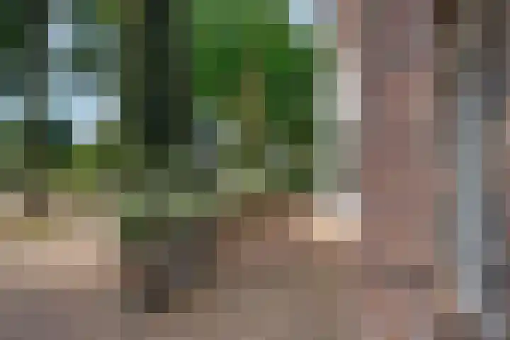 Kolfbaan 47 Burgum thumbnail 13