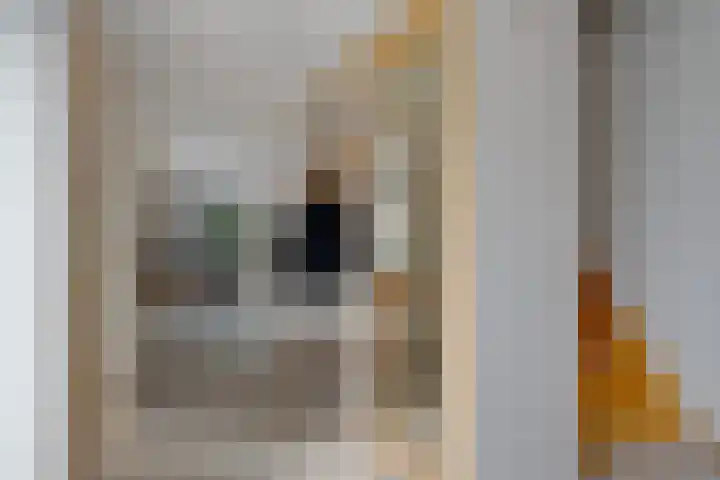 Kolfbaan 47 Burgum thumbnail 15