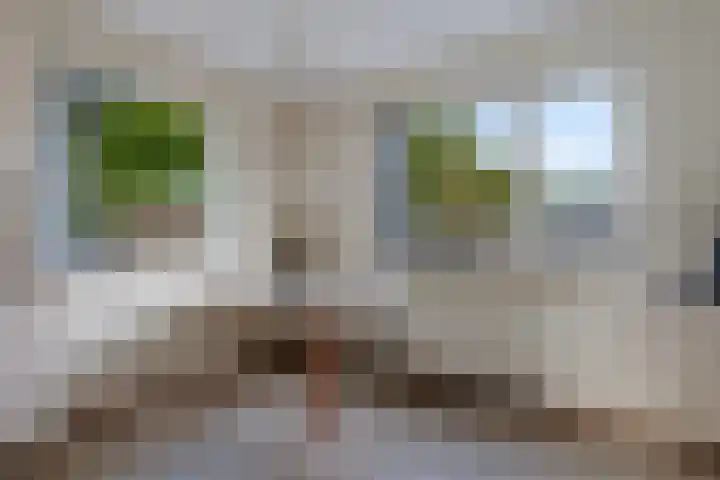Kolfbaan 47 Burgum thumbnail 21