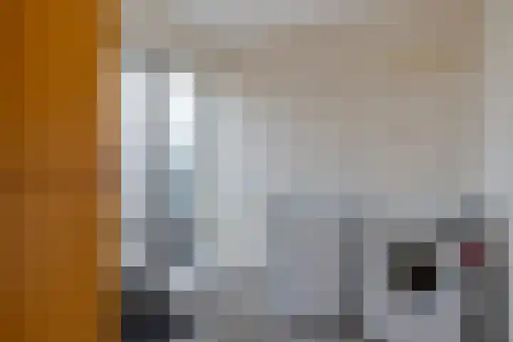 Kolfbaan 47 Burgum thumbnail 23