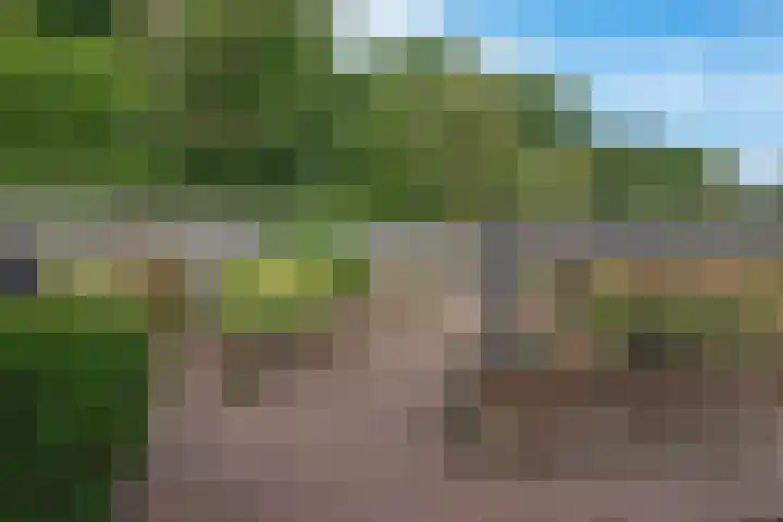Kolfbaan 47 Burgum thumbnail 38