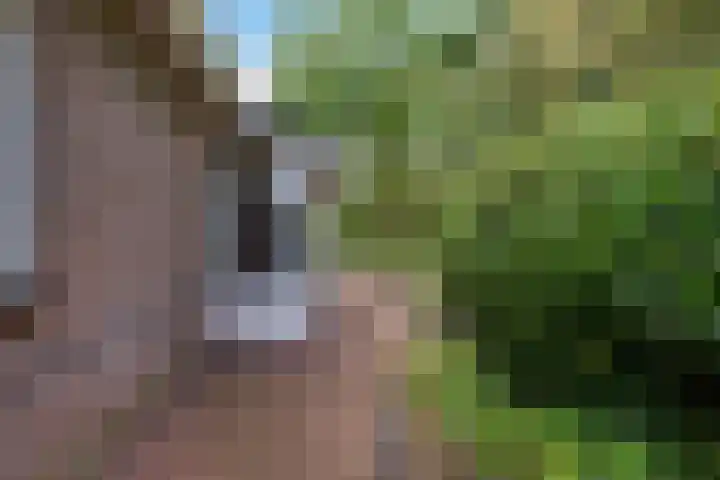 Kolfbaan 47 Burgum thumbnail 39