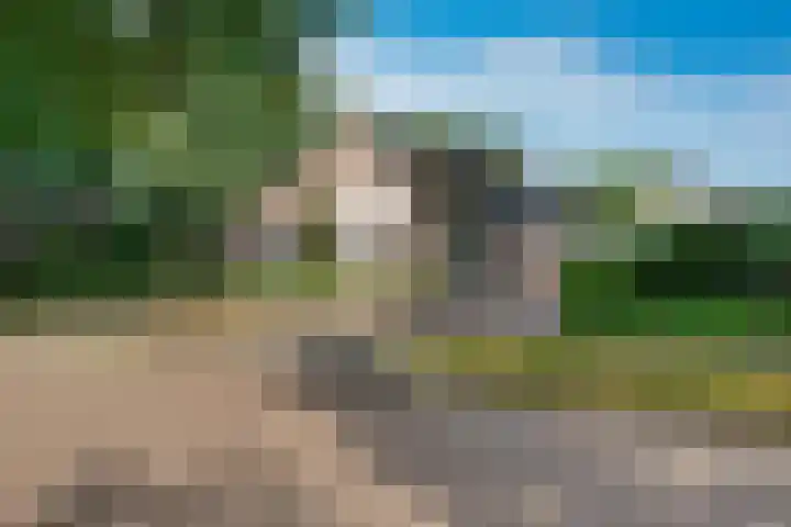 Kolfbaan 47 Burgum thumbnail 6