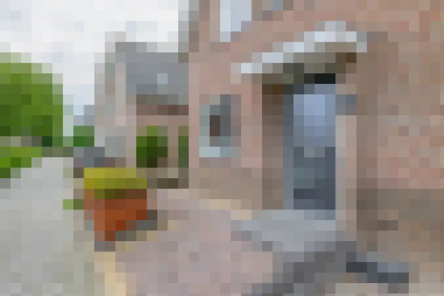 Kolfbaan 6 Lopik thumbnail 7