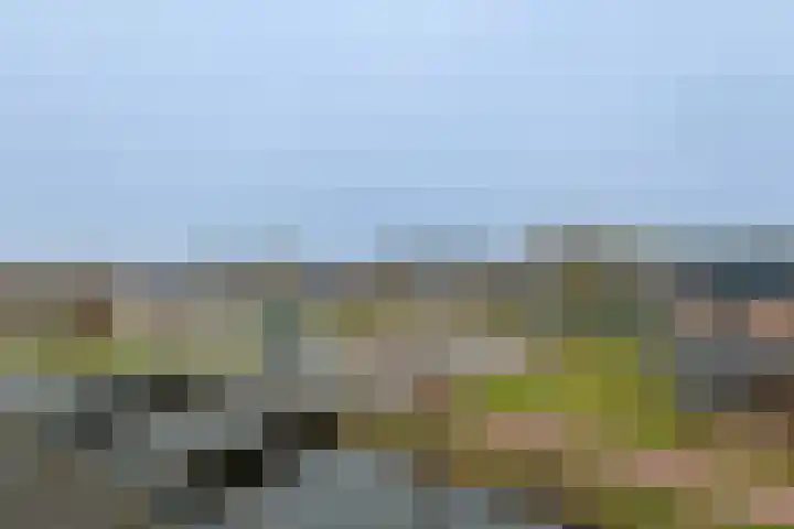 Kolfbaan 62 Nieuwkoop thumbnail 14