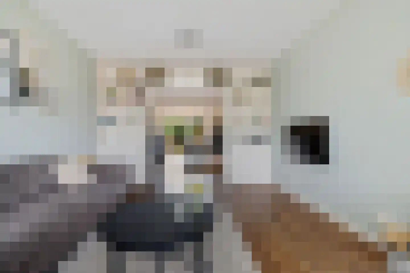 Kolfbaan 72 Burgum thumbnail 16