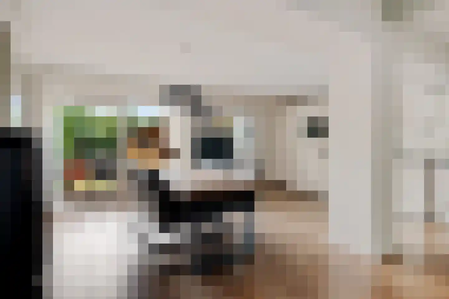Kolfbaan 72 Burgum thumbnail 9