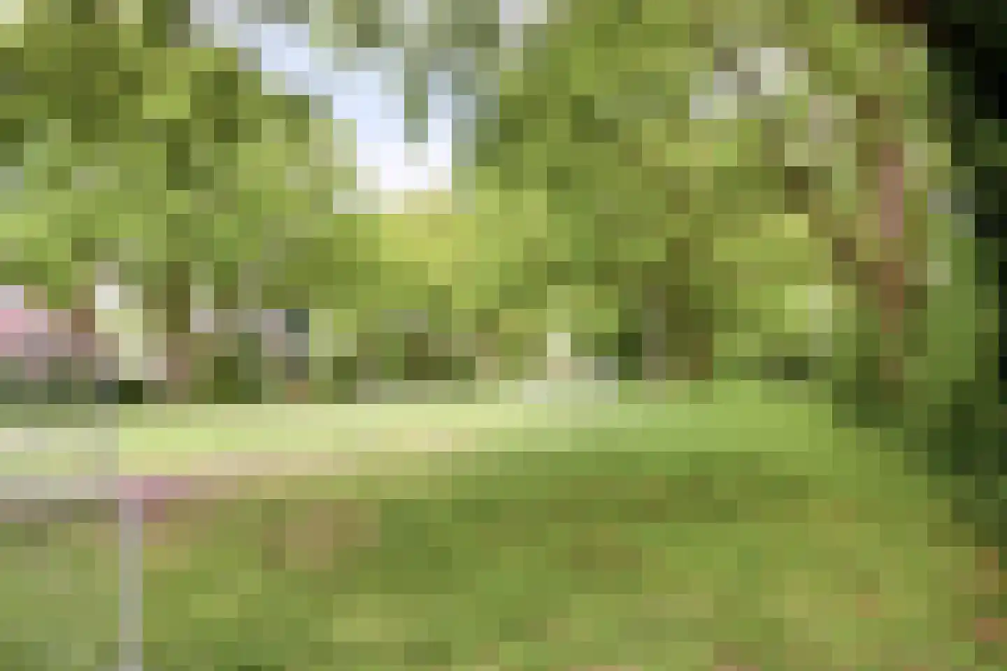 Kolfbaan 78 Burgum thumbnail 28