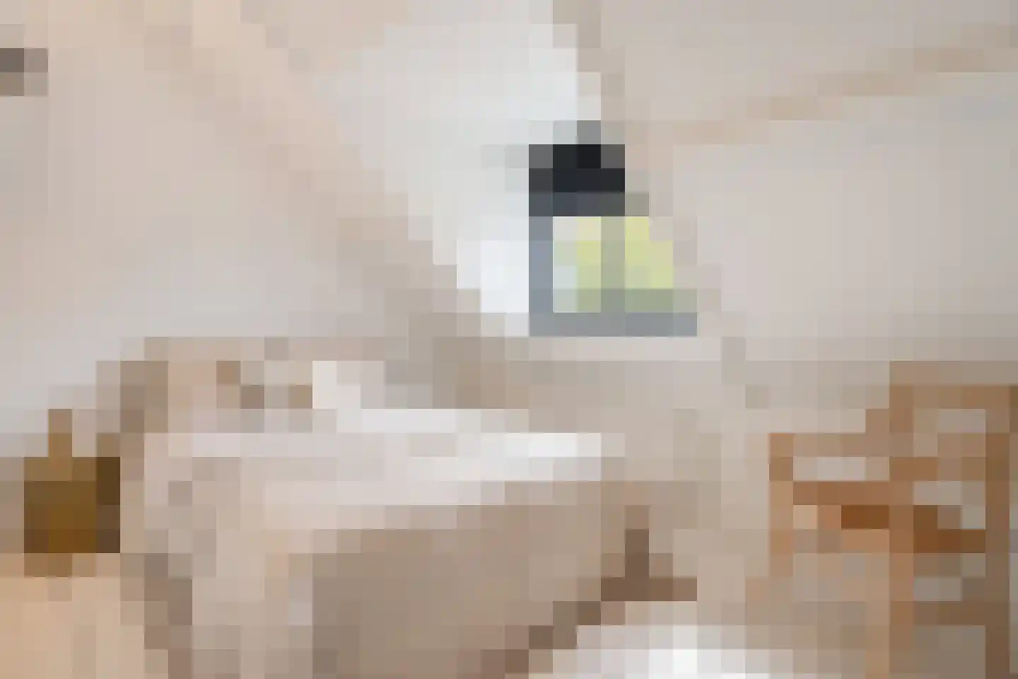 Kolfbaanstraat 46 Breda thumbnail 17