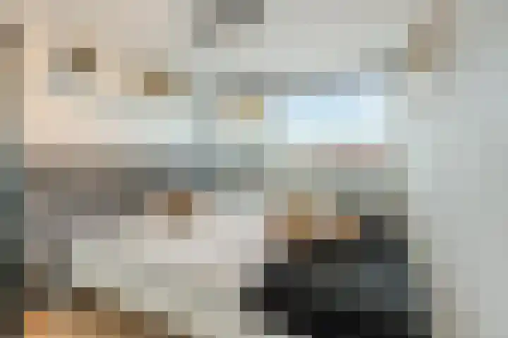 Kolfbaanstraat 5 Breda thumbnail 14