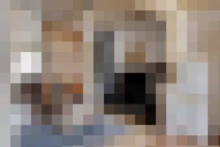 Kolfbaanstraat 57 Breda thumbnail 5