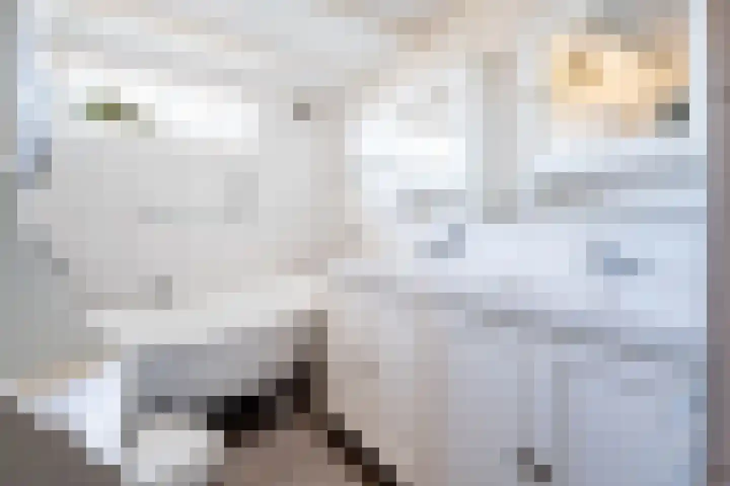 Kolfbaanstraat 6 Breda thumbnail 18