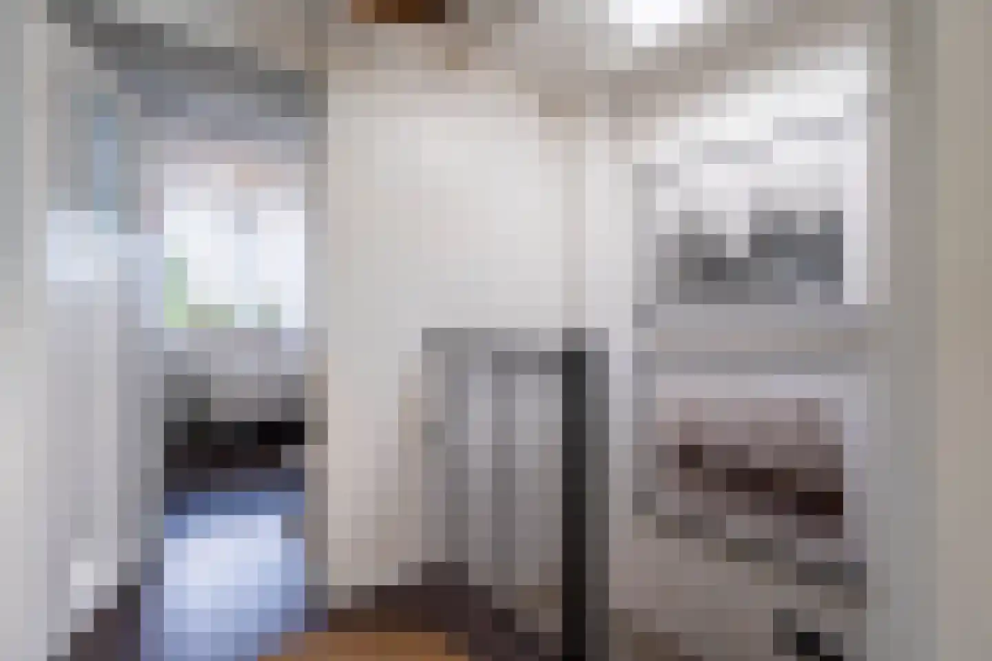 Kolfbaanstraat 6 Breda thumbnail 20