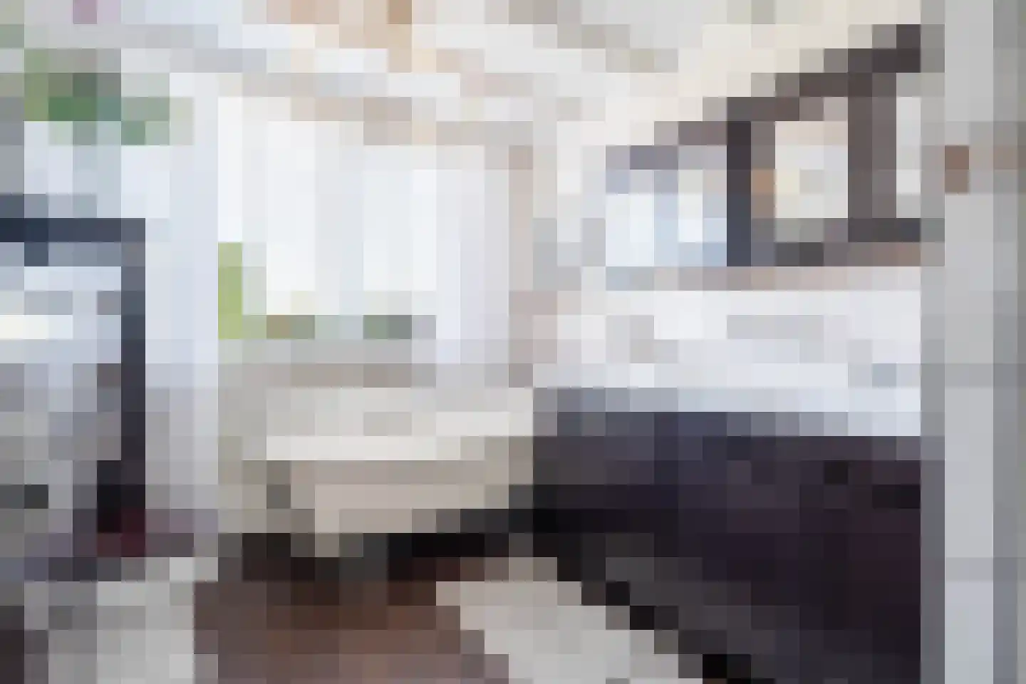 Kolfbaanstraat 6 Breda thumbnail 25