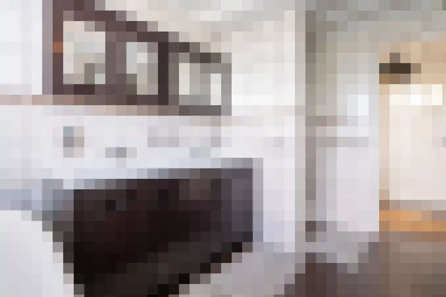 Kolfbaanstraat 6 Breda thumbnail 26