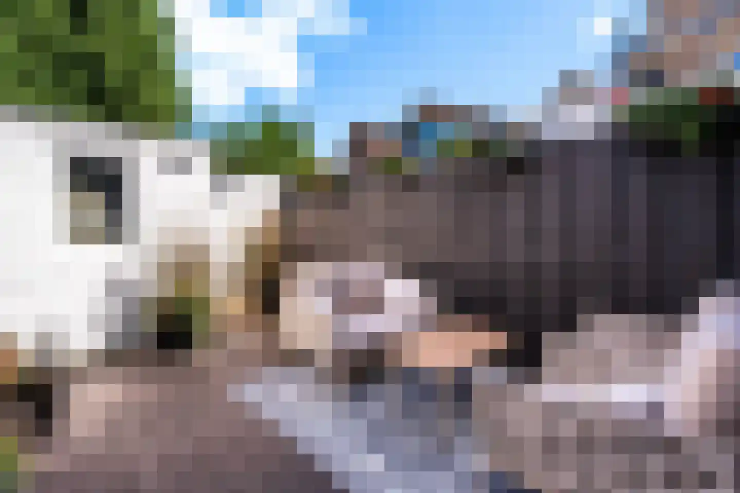 Kolfbaanstraat 6 Breda thumbnail 27
