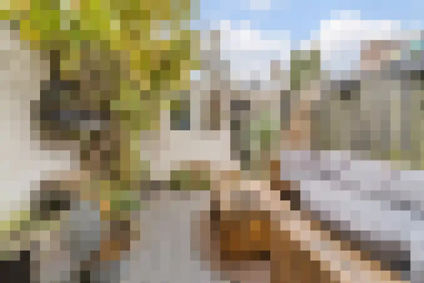 Kolfbaanstraat 6 Breda thumbnail 31