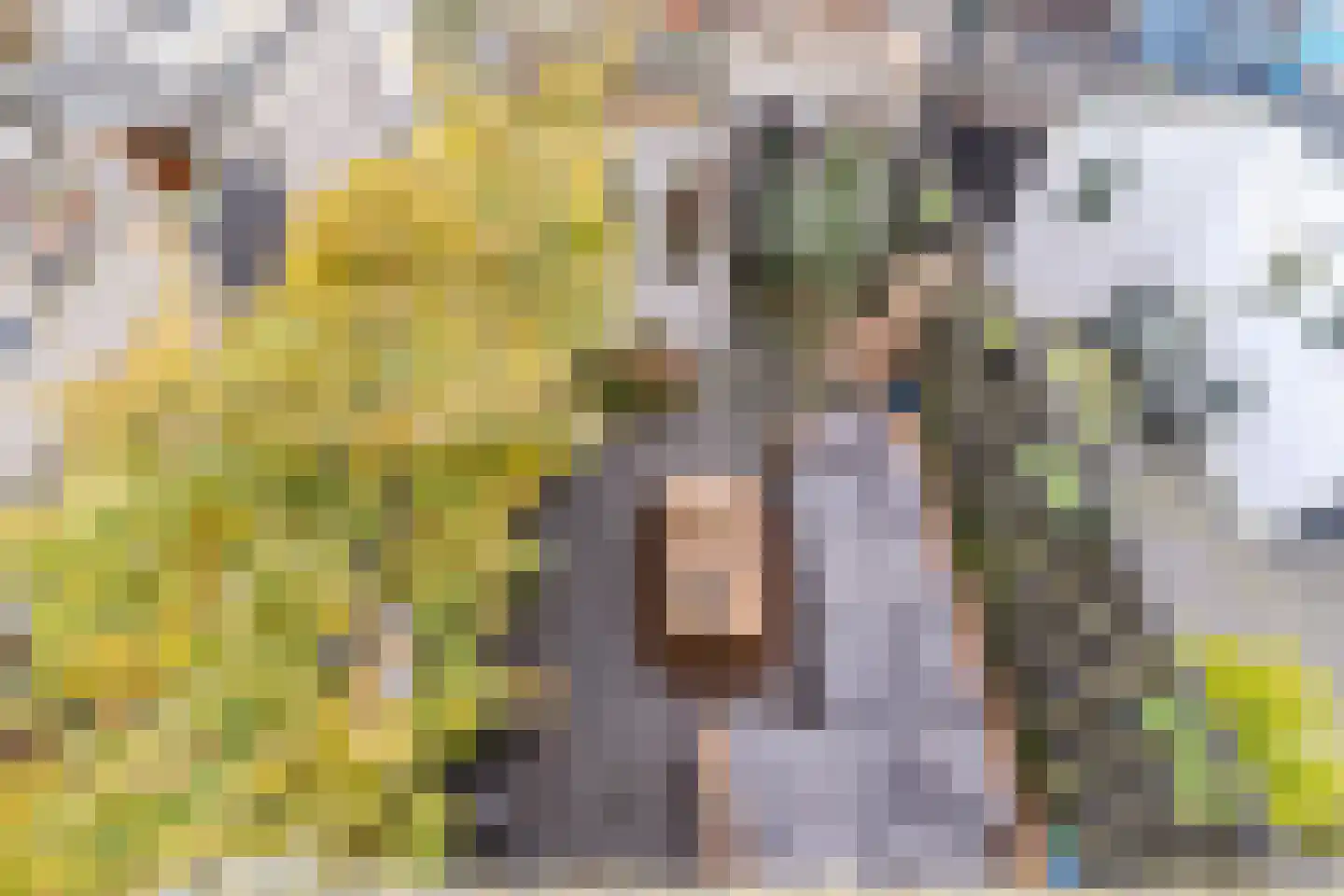 Kolfbaanstraat 6 Breda thumbnail 32