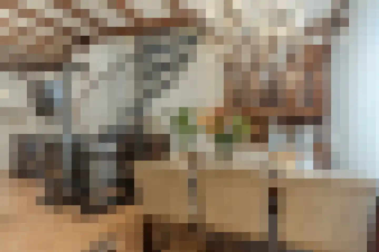 Kolfbaanstraat 6 Breda thumbnail 5