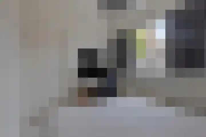 Kolfbaanstraat 70 Breda thumbnail 17