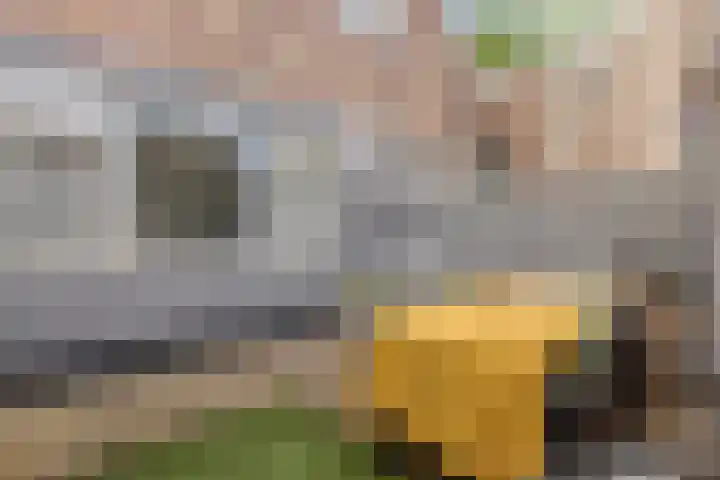 Kolfbaanstraat 70 Breda thumbnail 5