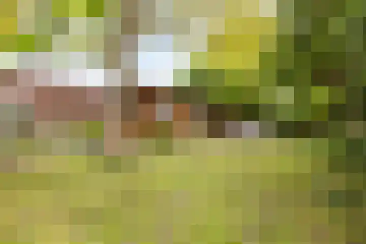 Kolfbaanstraat 9 Breda thumbnail 26