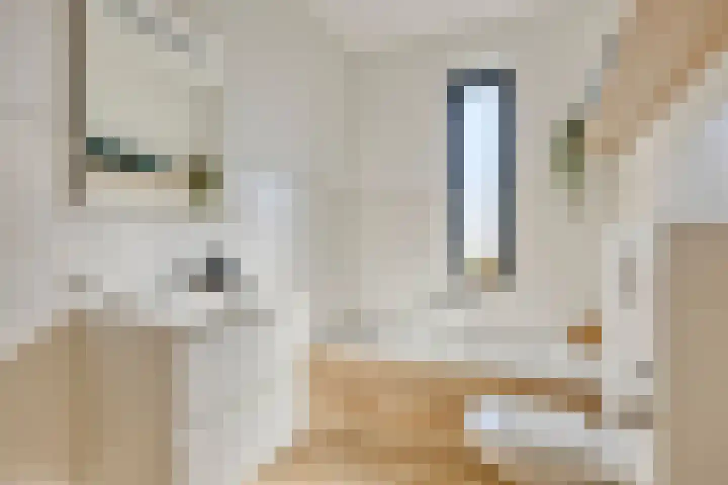 Kolfdries 9 Westerhoven thumbnail 7