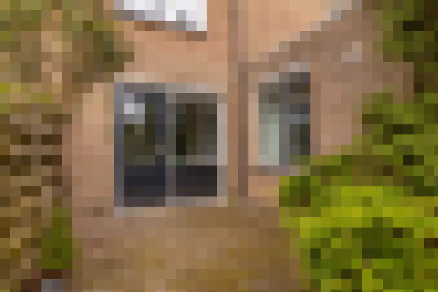 Kolffstraat 1 Hoogeveen thumbnail 22