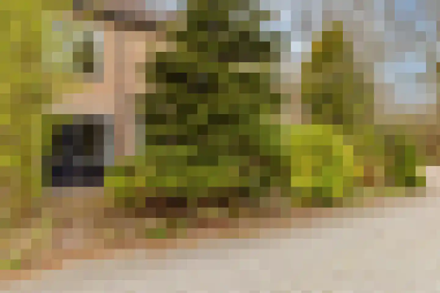 Kolffstraat 1 Hoogeveen thumbnail 24