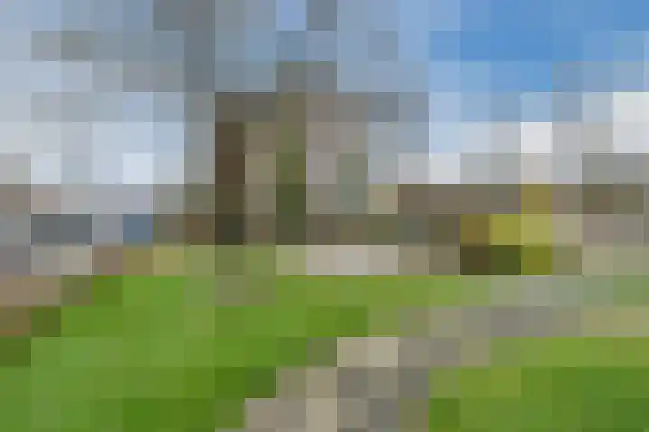 Kolffstraat 18 Hoogeveen thumbnail 4