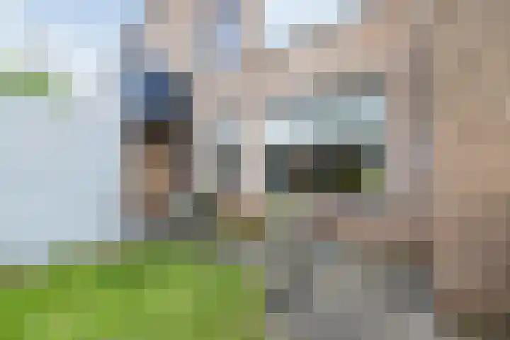 Kolffstraat 18 Hoogeveen thumbnail 6