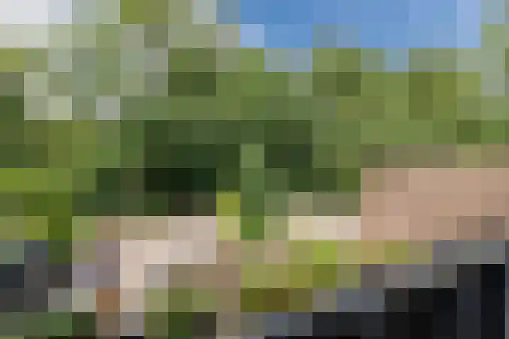Kolffstraat 3 Hoogeveen thumbnail 26