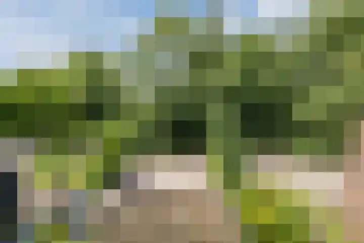 Kolffstraat 3 Hoogeveen thumbnail 27