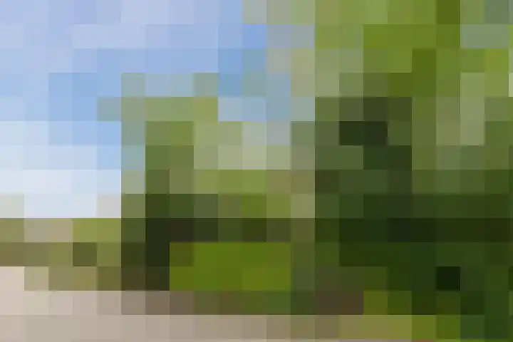 Kolffstraat 3 Hoogeveen thumbnail 30
