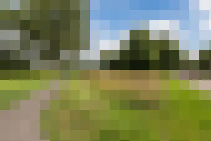 Kolffstraat 3 Hoogeveen thumbnail 31