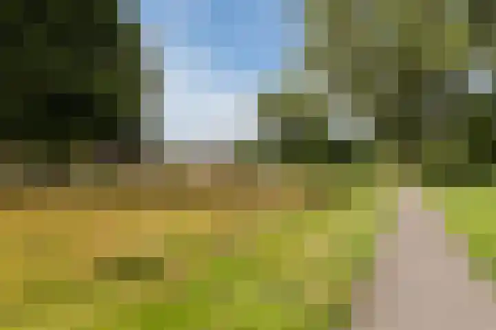 Kolffstraat 3 Hoogeveen thumbnail 32