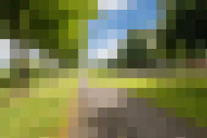 Kolffstraat 3 Hoogeveen thumbnail 33