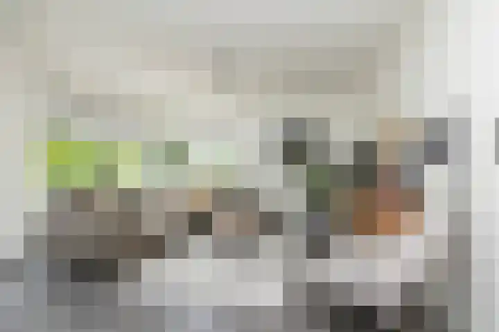 Kolffstraat 35 Hoogeveen thumbnail 10