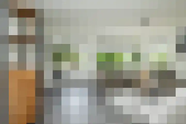 Kolffstraat 35 Hoogeveen thumbnail 11