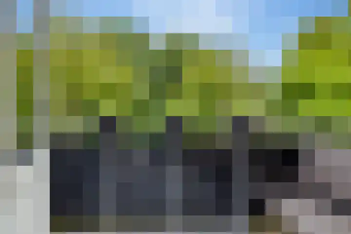 Kolffstraat 35 Hoogeveen thumbnail 14