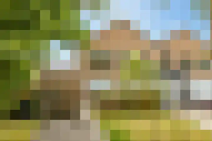 Kolffstraat 35 Hoogeveen thumbnail 31