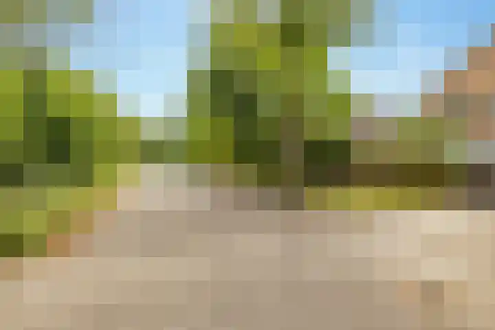 Kolffstraat 35 Hoogeveen thumbnail 32