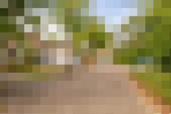 Kolffstraat 35 Hoogeveen thumbnail 33