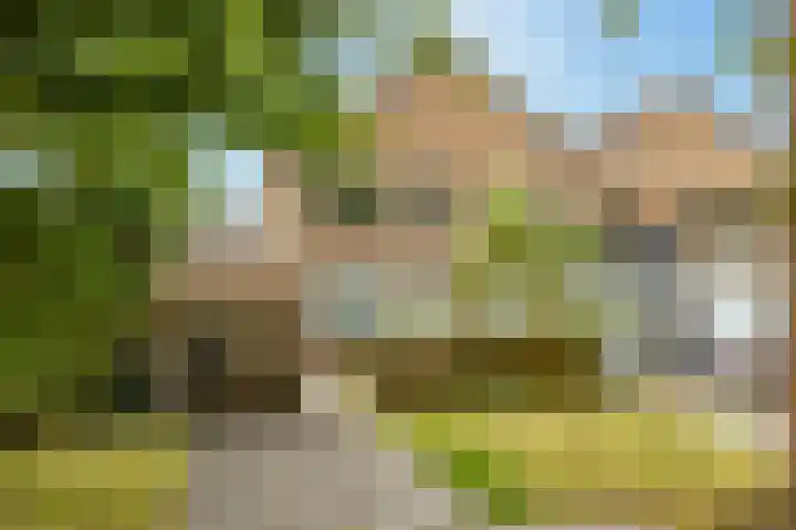 Kolffstraat 35 Hoogeveen thumbnail 5