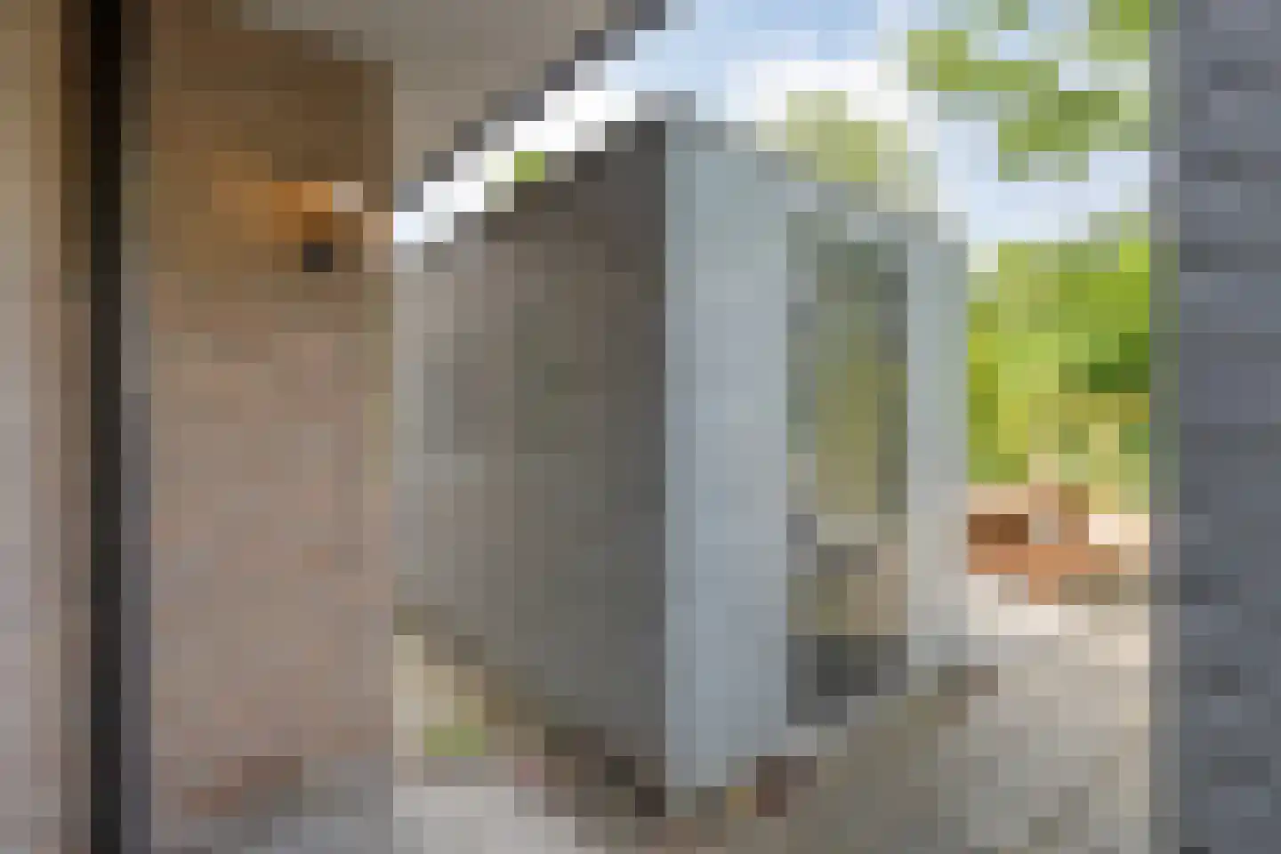Kolffstraat 5 Hoogeveen thumbnail 11