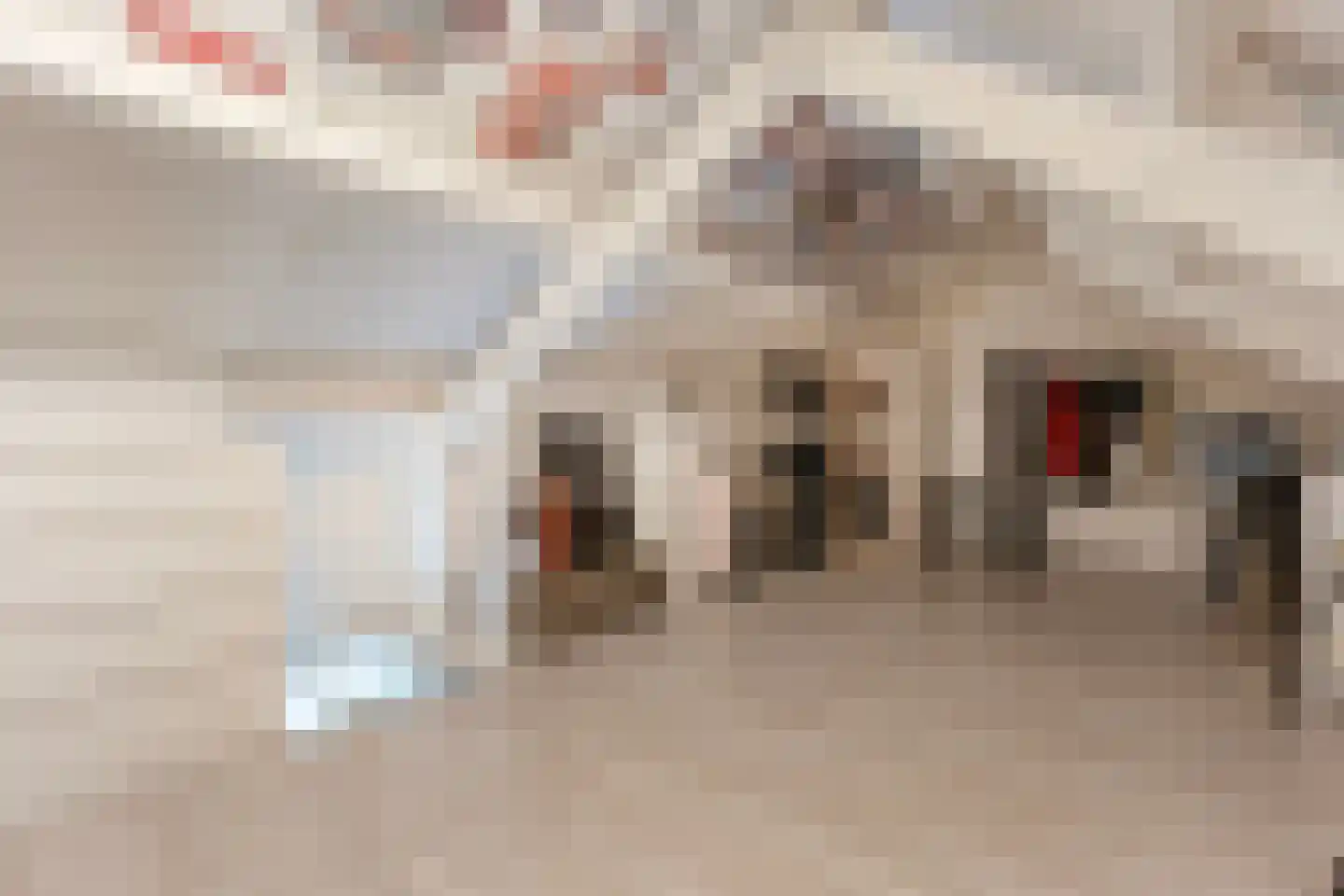 Kolffstraat 5 Hoogeveen thumbnail 28